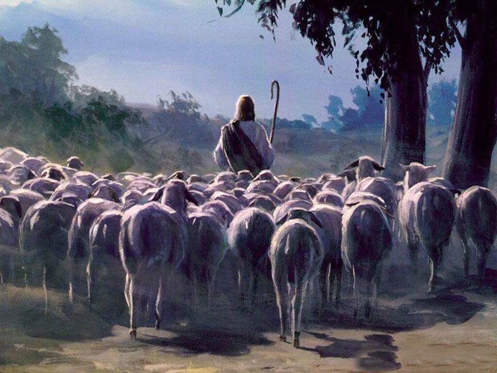 The Parable of the Sheep and the Goats - Finally Unveiled - Salvation ...